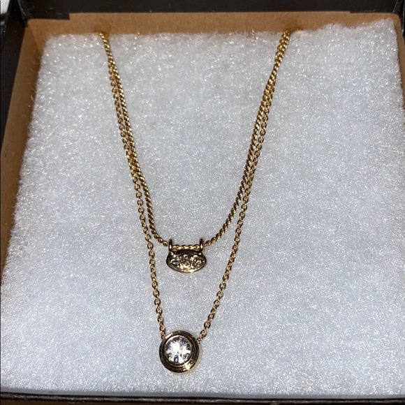 Banana Republic Almost Invisible Layering Necklace - Picture 7 of 13